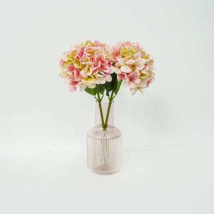 Pink Hydrangea