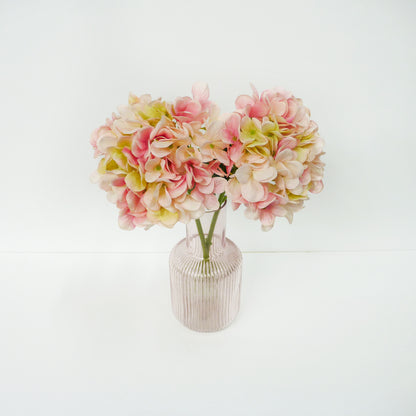 Pink Hydrangea