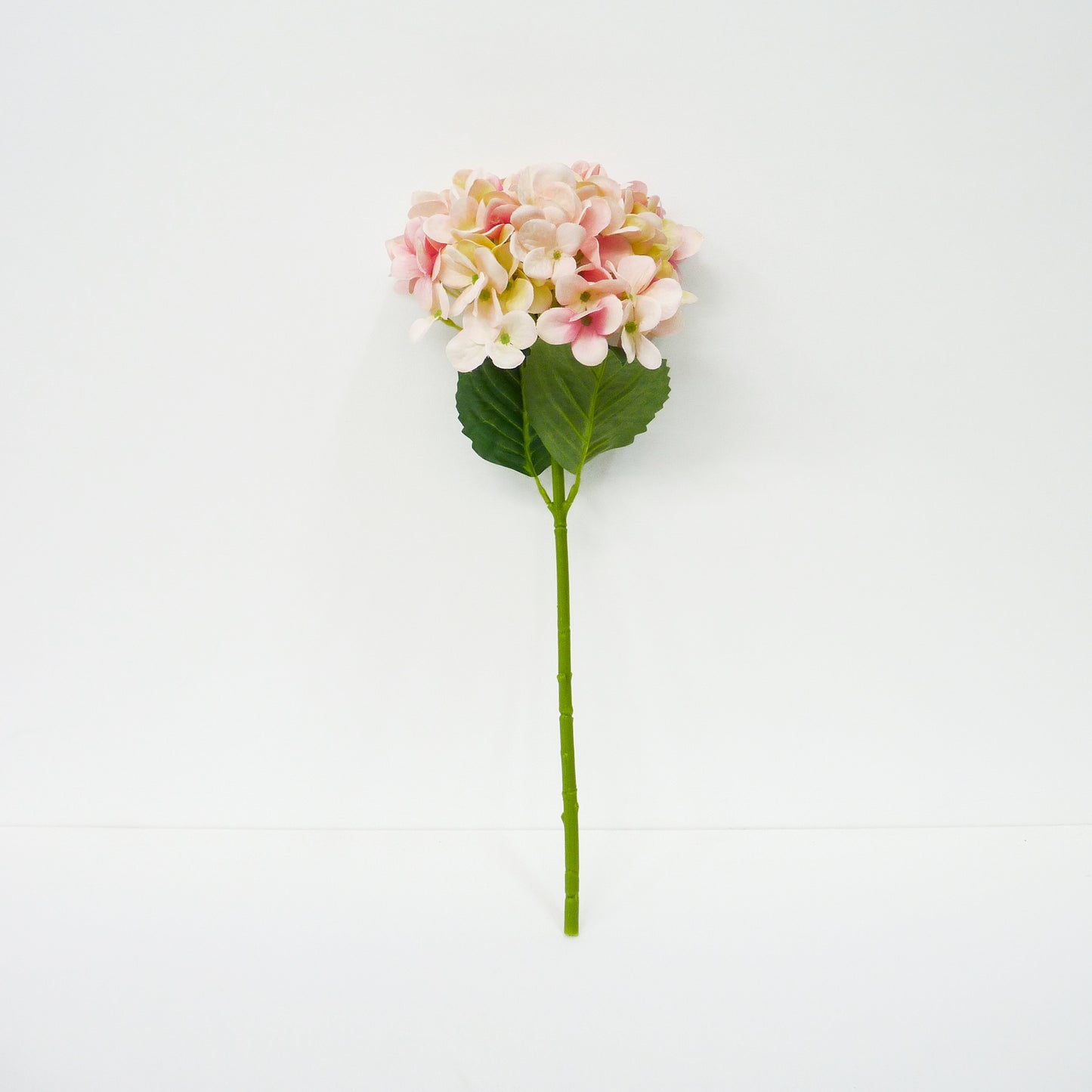 Pink Hydrangea