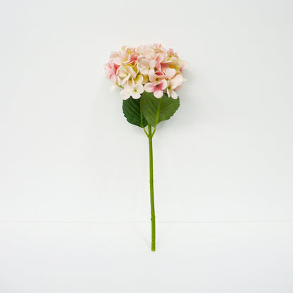Pink Hydrangea