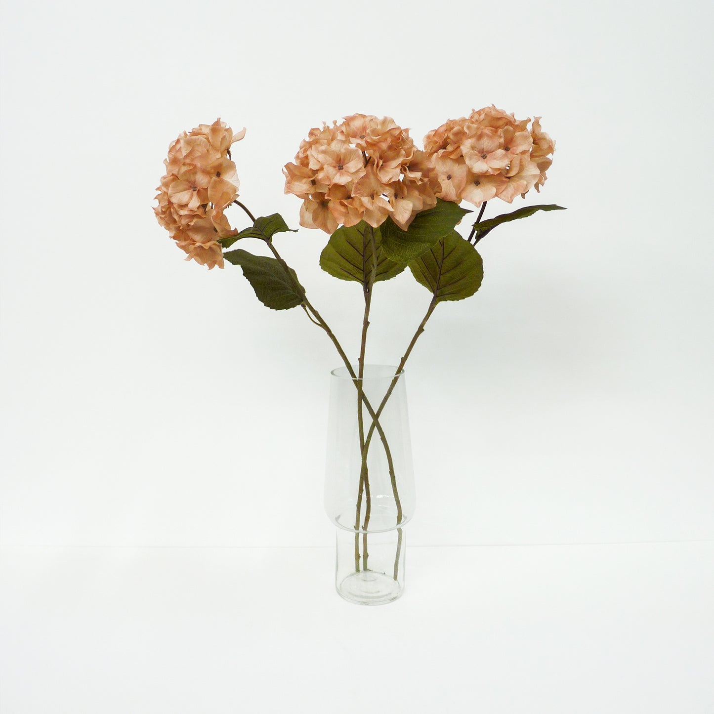 Blush Pink Hydrangea