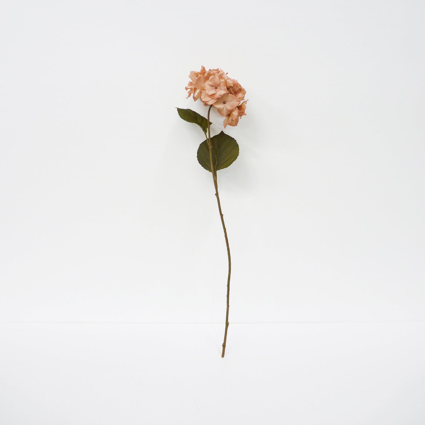 Blush Pink Hydrangea