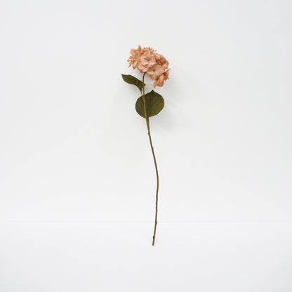 Blush Pink Hydrangea