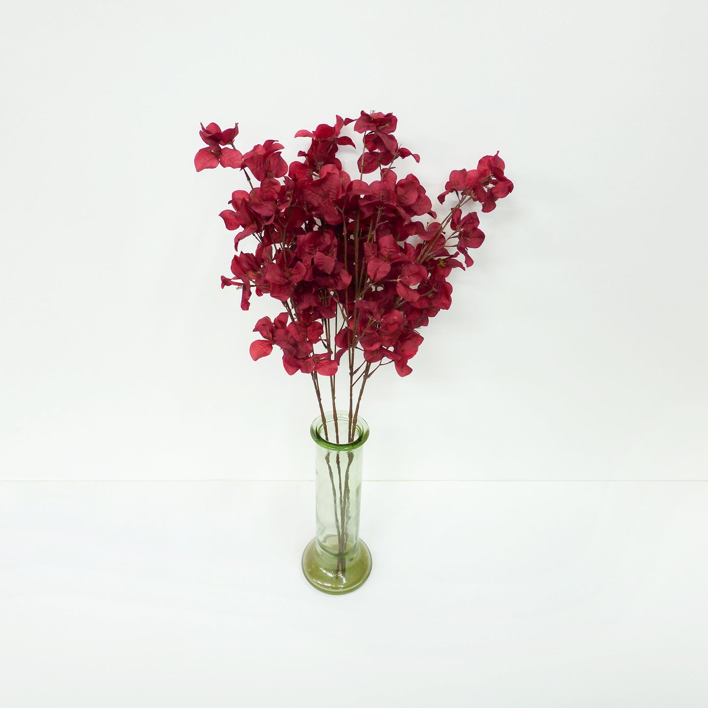 Maroon Bougainvillea