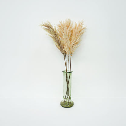 Silver Grass