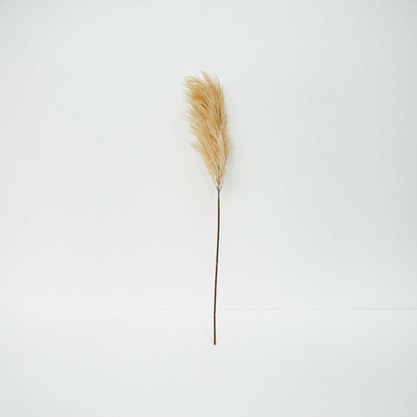 Silver Grass