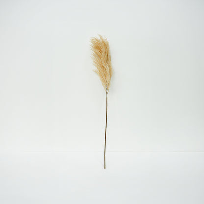 Silver Grass