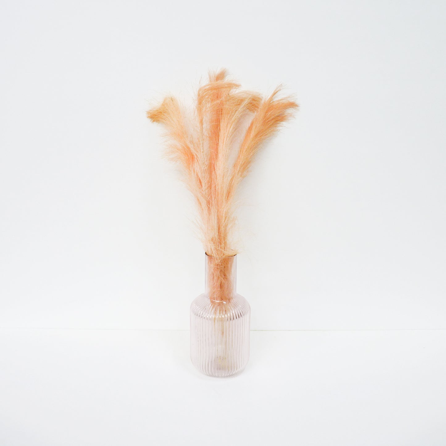 Foxtail Barley