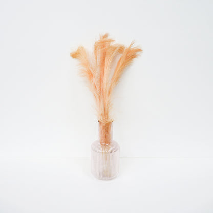 Foxtail Barley