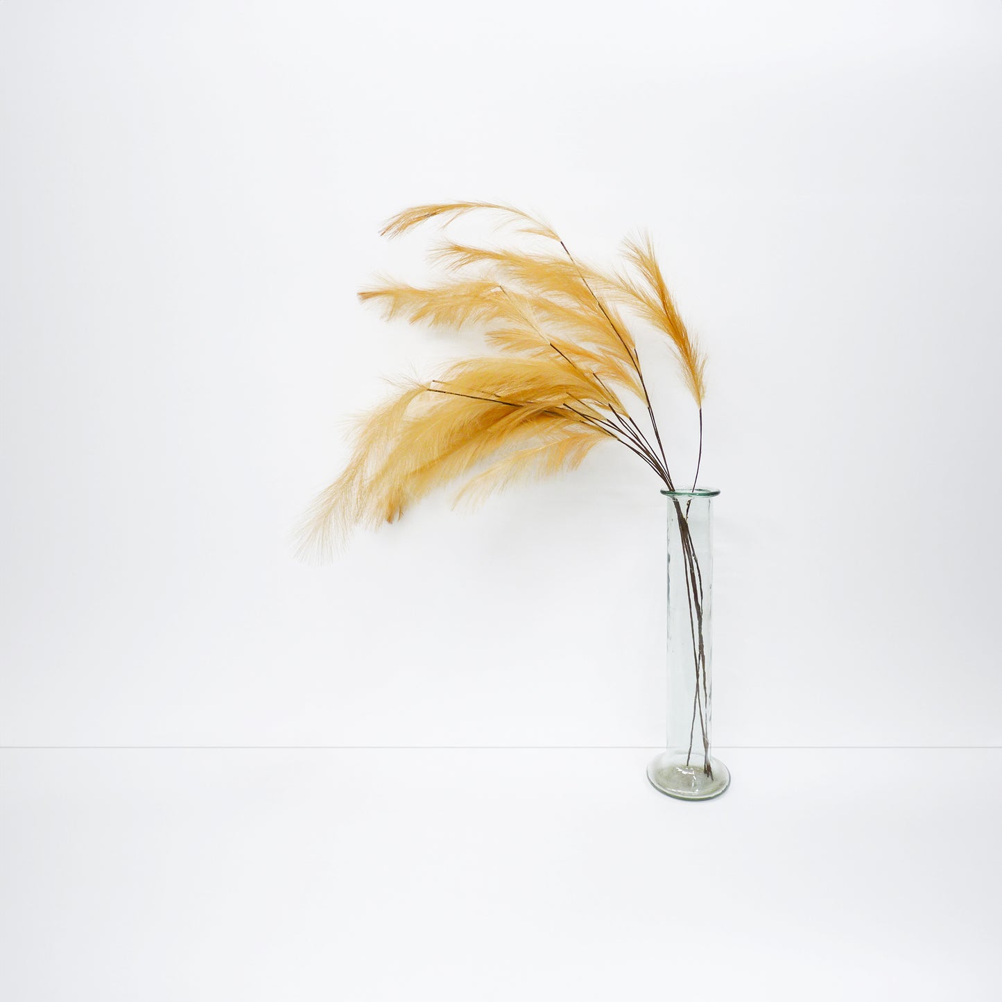 XL Foxtail Barley