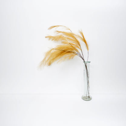 XL Foxtail Barley