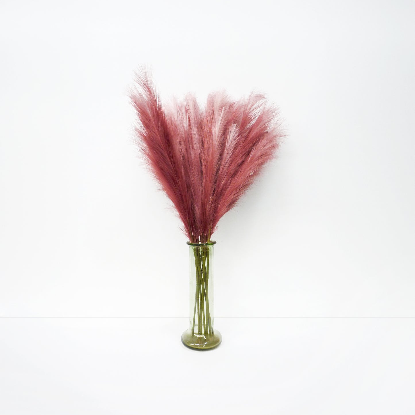 Pink Foxtail Barley
