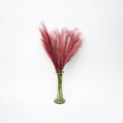 Pink Foxtail Barley