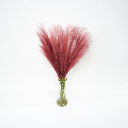 Pink Foxtail Barley