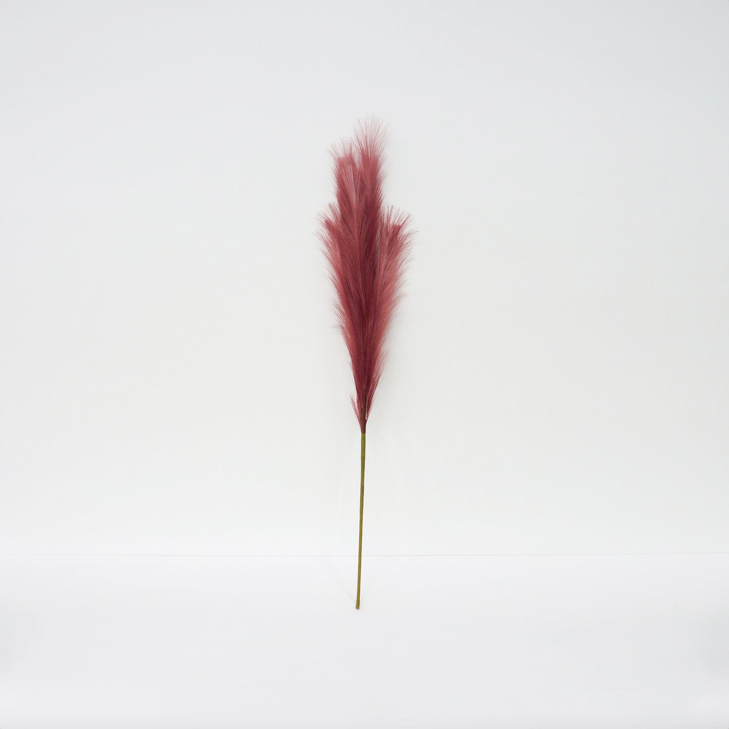 Pink Foxtail Barley