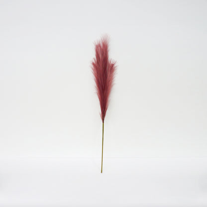 Pink Foxtail Barley