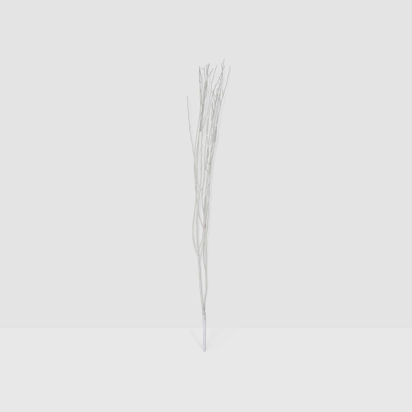 Real Decorative White Sticks