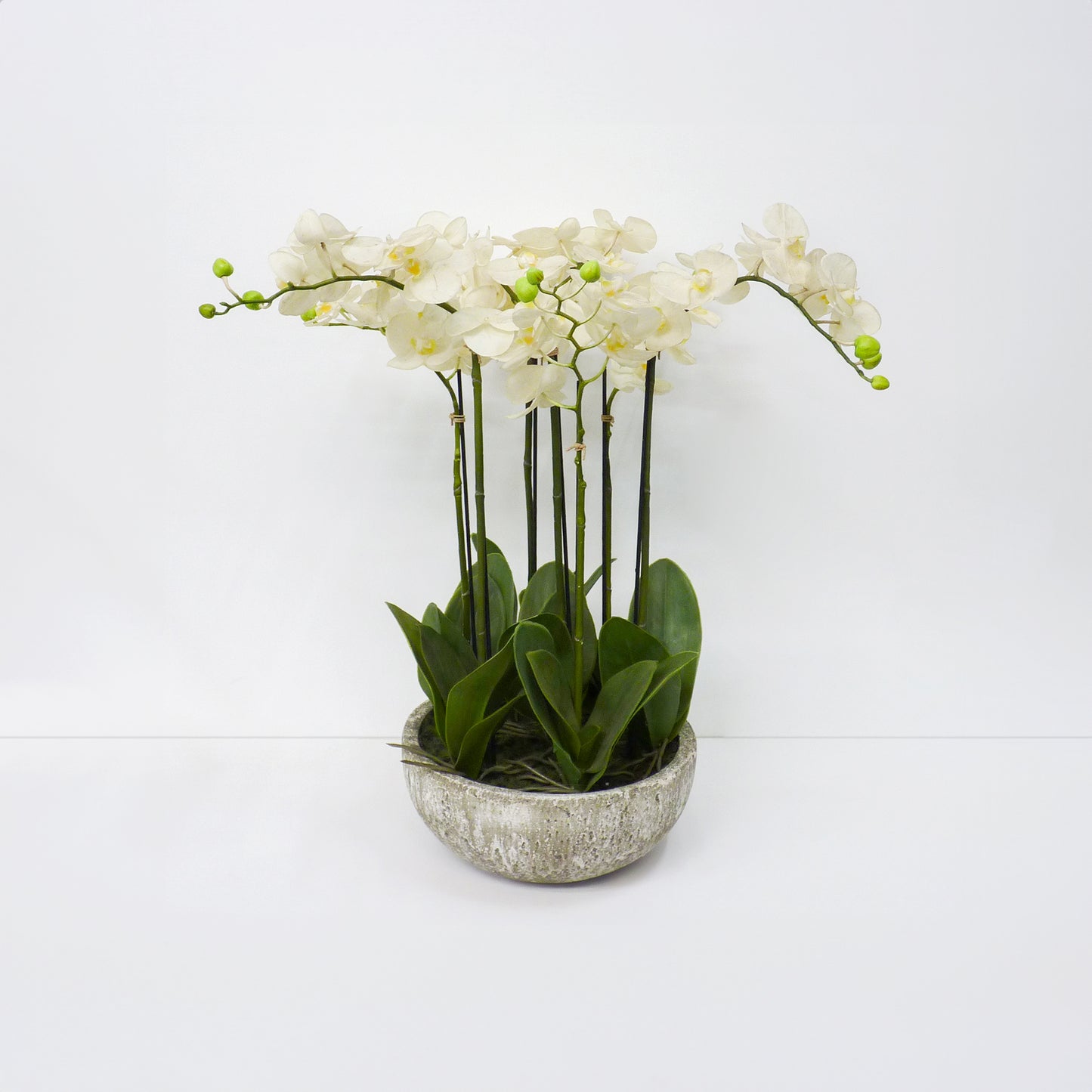Orchid Bowl