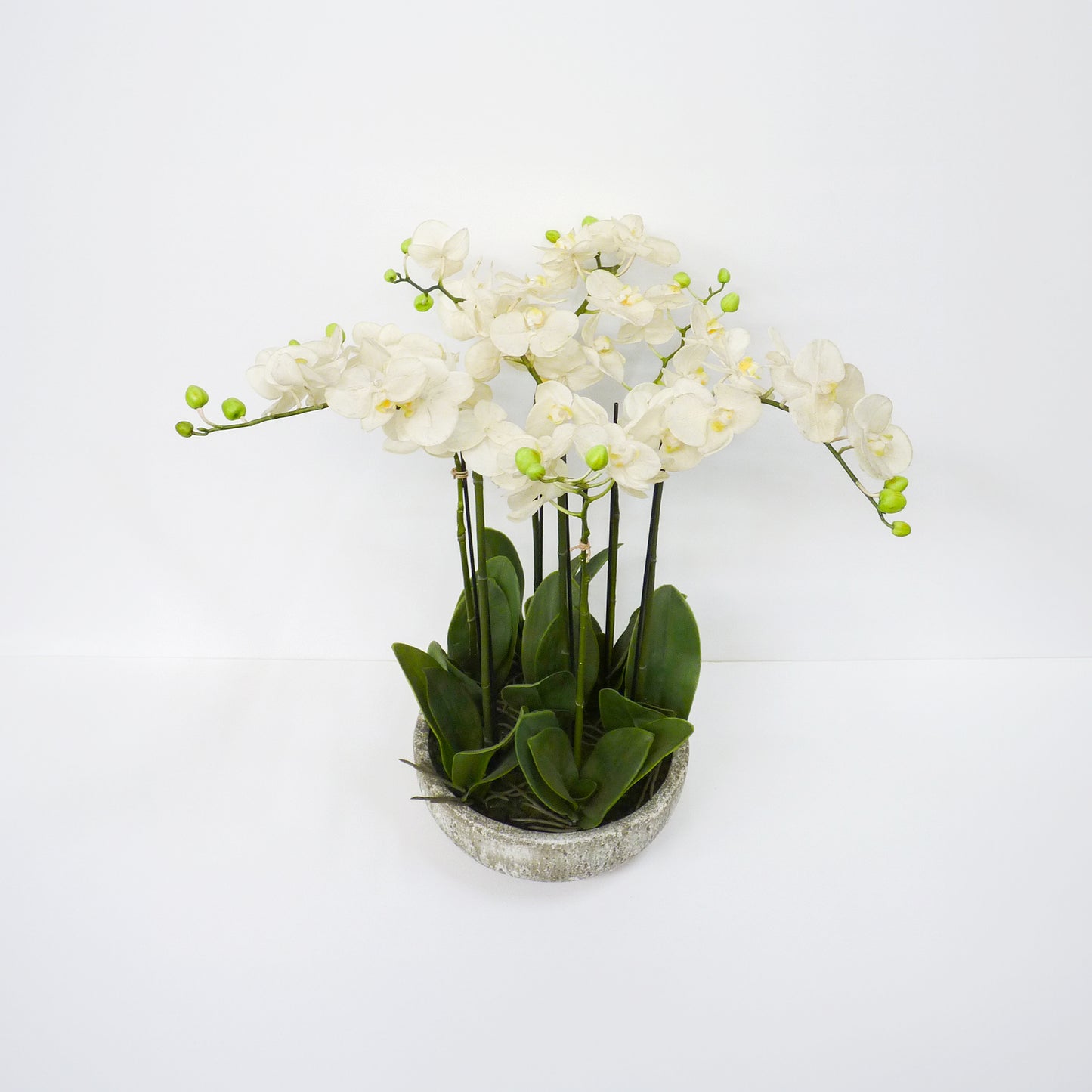 Orchid Bowl