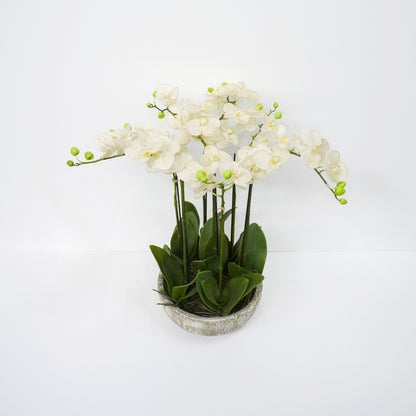 Orchid Bowl