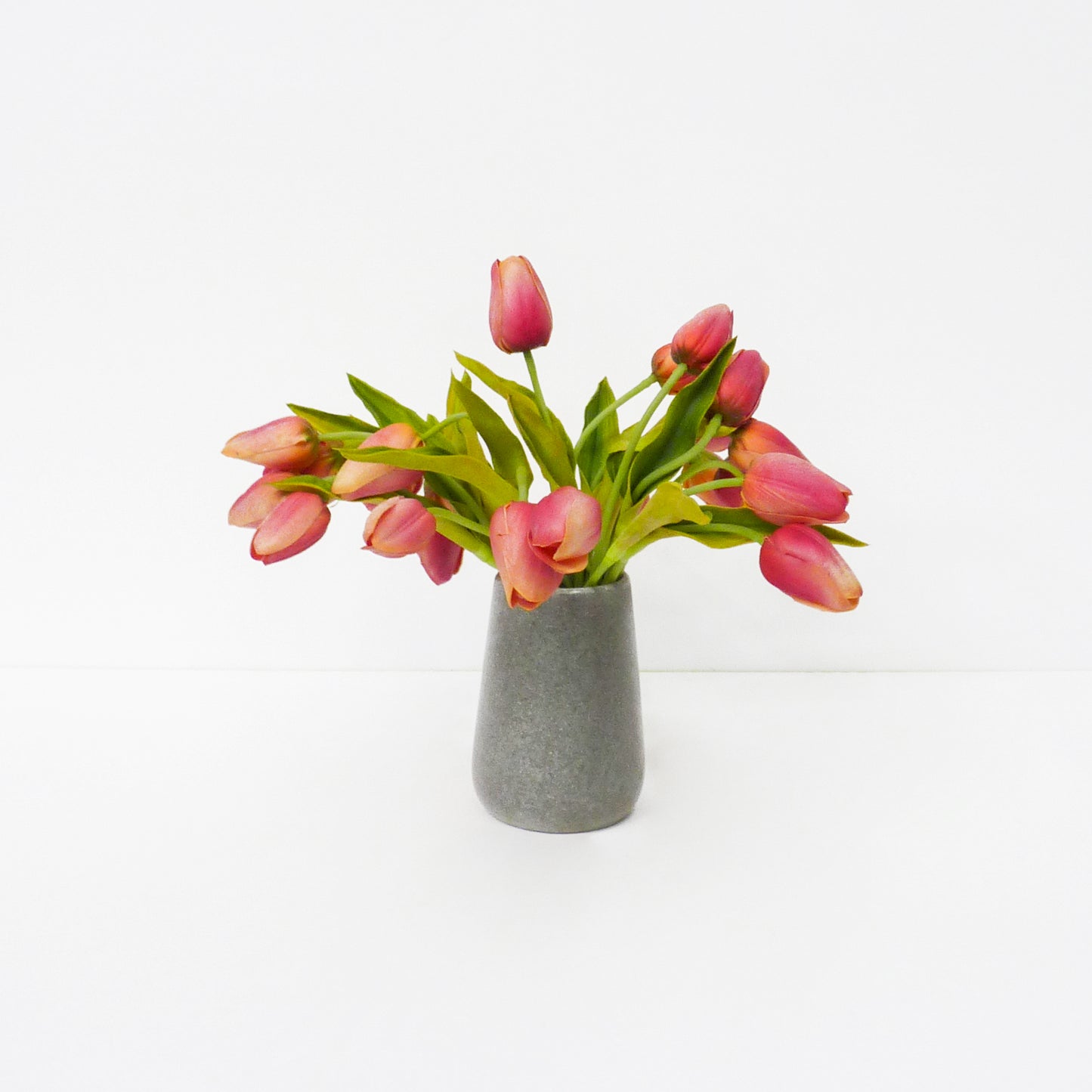 Pink Tulip Buds
