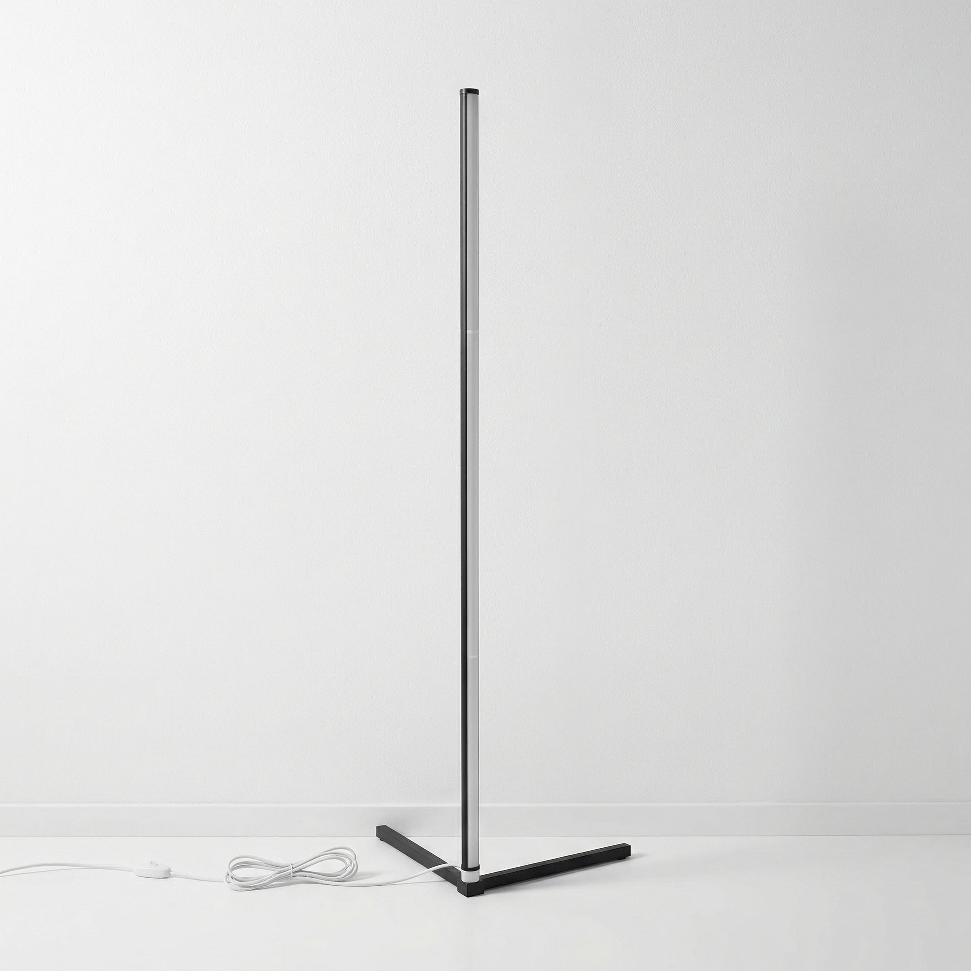Modern LED Floor Lamp