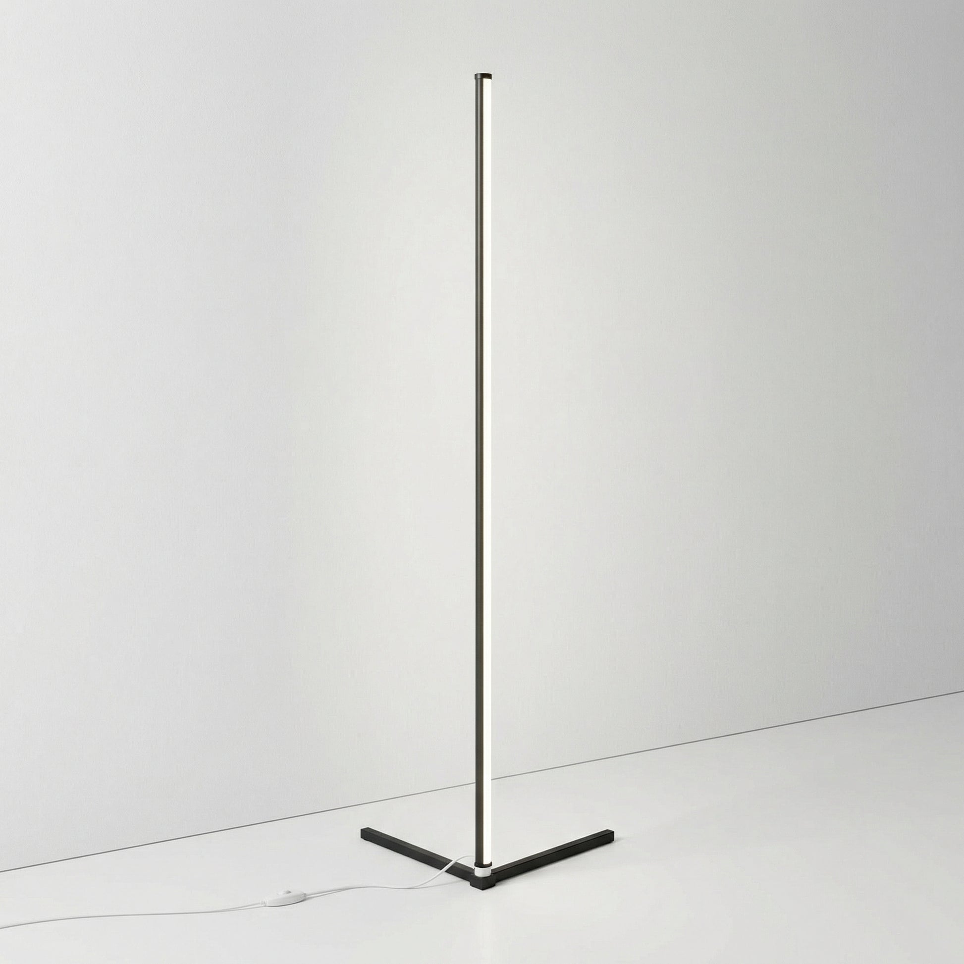 Modern LED Floor Lamp