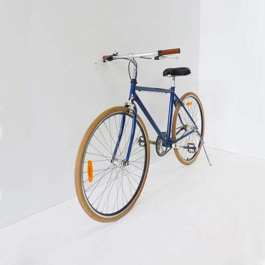 Fix Speed Push Bike