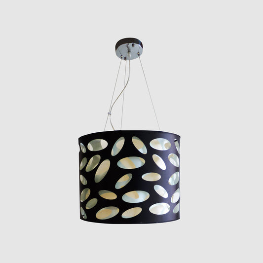 Modern Black Pendant Light