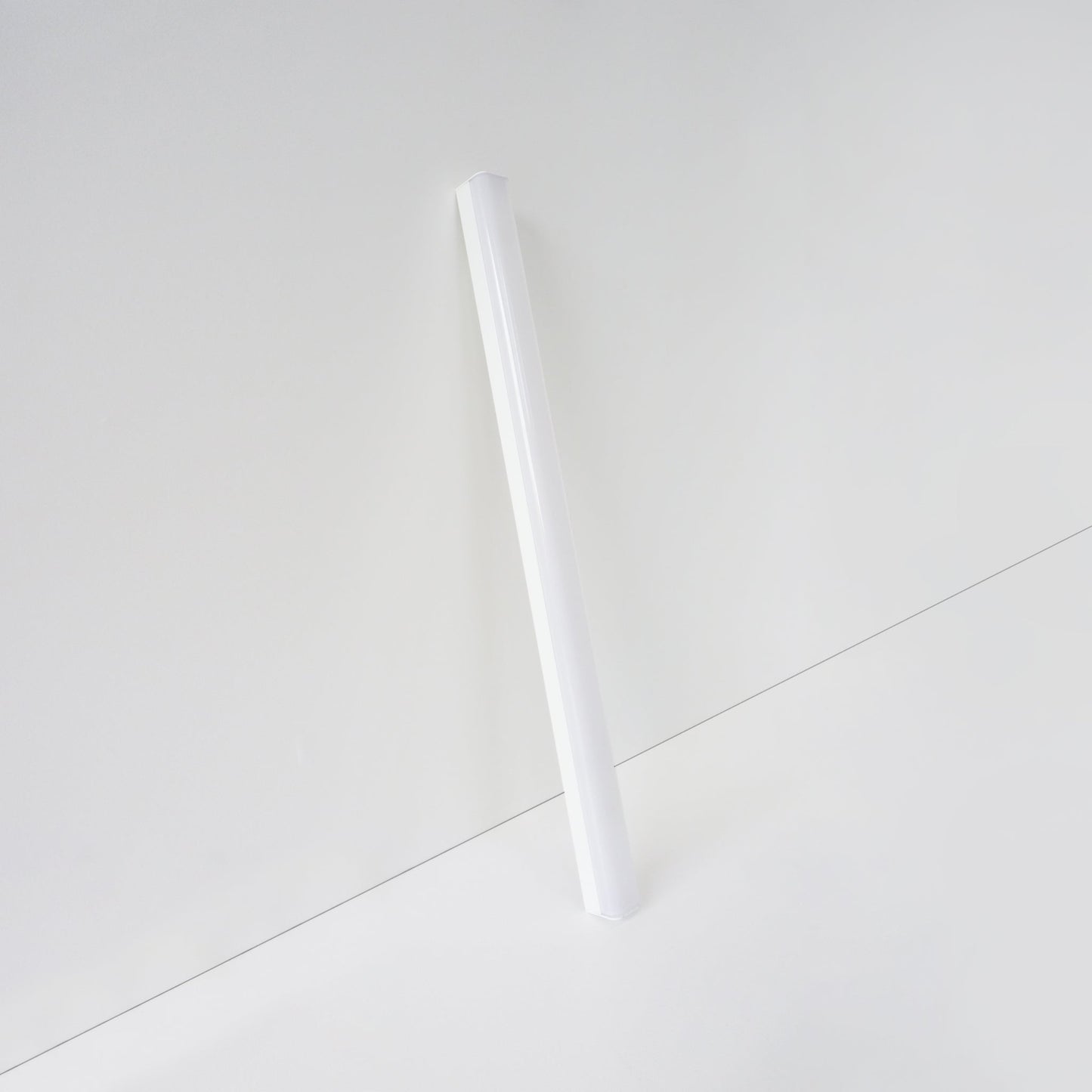 4-Foot Batten Light Housing