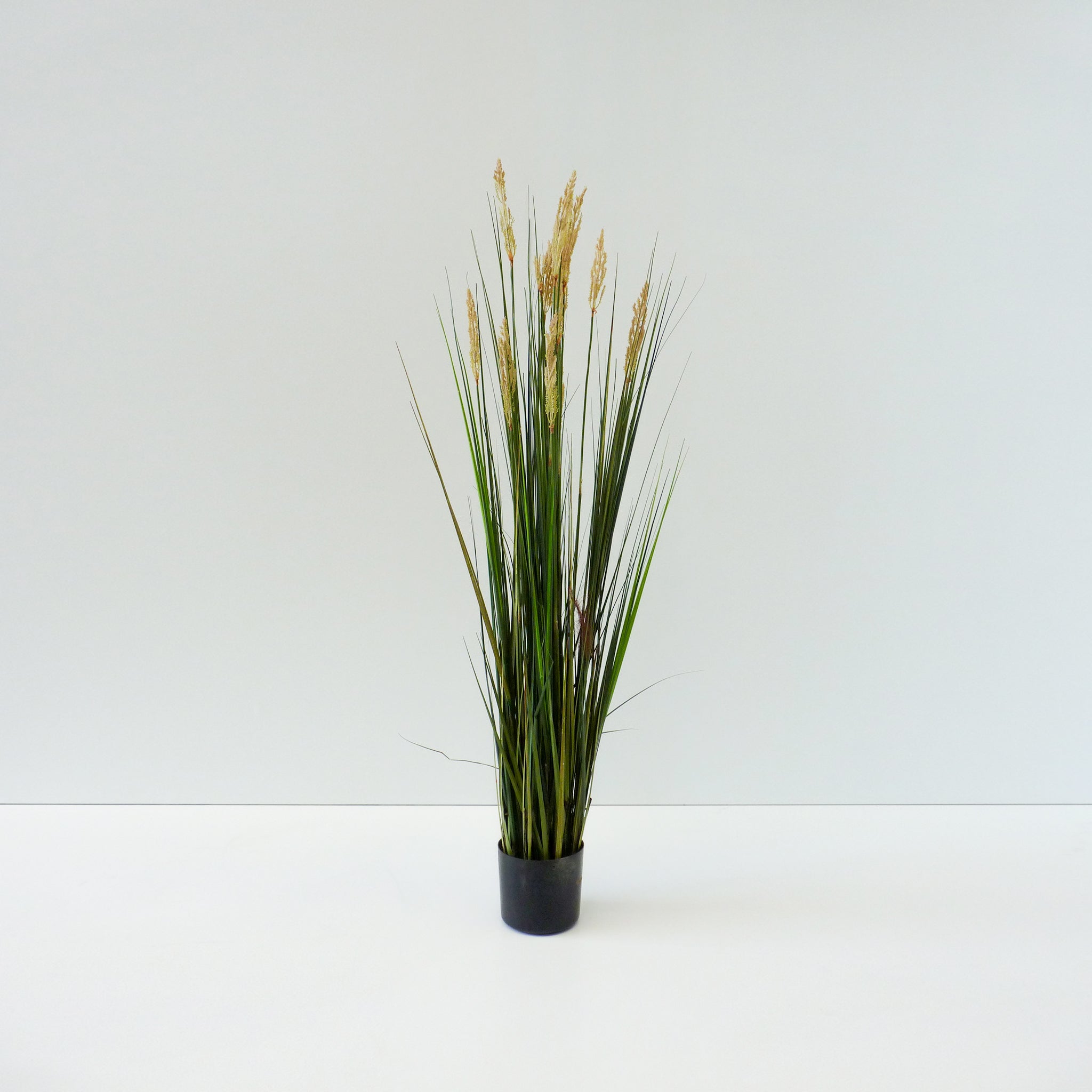 Artificial Reed Grass – AXIS