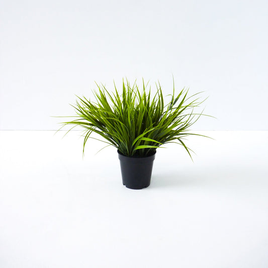 Artificial Green Grass