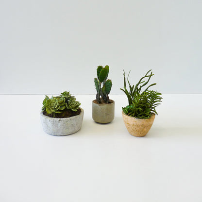 Artificial Succulent Plant Set